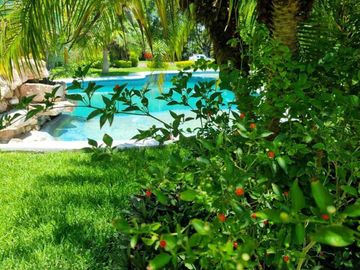 Casa en venta en Arco Antiguo, Yautepec – 3 recámaras, alberca y áreas verdes