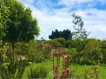 Pichilemu, Casa Jardín en el Pangal
