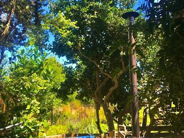 Pichilemu, Casa Jardín en el Pangal