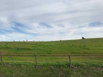 Parcela en venta en NINHUE
