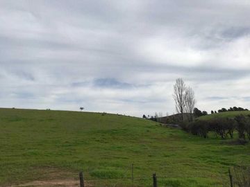 Parcela en venta en NINHUE