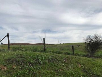 Parcela en venta en NINHUE