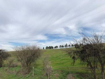 Parcela en venta en NINHUE
