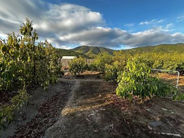 SE VENDE PARCELA CON CASA, POCOCHAY LA CRUZ