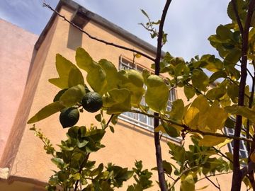 Casa de descanso en xochitepec Morelos Excelente Precio