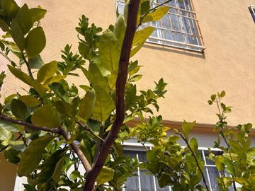 Casa de descanso en xochitepec Morelos Excelente Precio