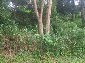 Tanah Kavling Siap Bangun Dago Pakar