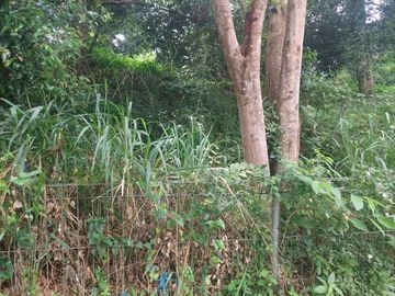 Tanah Kavling Siap Bangun Dago Pakar