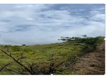 Loja ,parroquia Taquil Terreno en Venta, 5441 m2 Esquinero