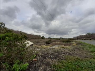 Portoviejo Montecristi, Terreno en Venta, 90 Hectáreas