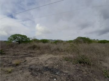 Portoviejo Montecristi, Terreno en Venta, 90 Hectáreas