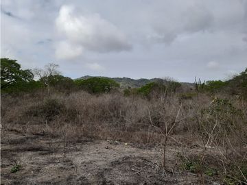 Portoviejo Montecristi, Terreno en Venta, 90 Hectáreas