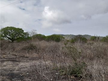 Portoviejo Montecristi, Terreno en Venta, 90 Hectáreas