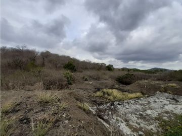 Portoviejo Montecristi, Terreno en Venta, 90 Hectáreas