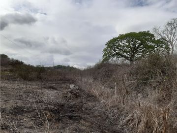 Portoviejo Montecristi, Terreno en Venta, 90 Hectáreas