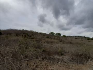 Portoviejo Montecristi, Terreno en Venta, 90 Hectáreas