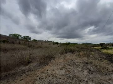 Portoviejo Montecristi, Terreno en Venta, 90 Hectáreas
