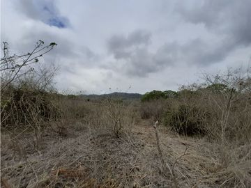 Portoviejo Montecristi, Terreno en Venta, 90 Hectáreas