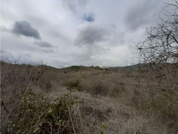 Portoviejo Montecristi, Terreno en Venta, 90 Hectáreas