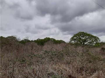 Portoviejo Montecristi, Terreno en Venta, 90 Hectáreas