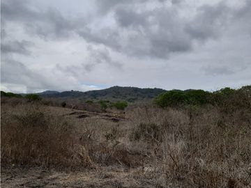Portoviejo Montecristi, Terreno en Venta, 90 Hectáreas
