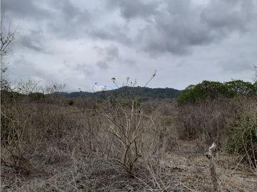 Portoviejo Montecristi, Terreno en Venta, 90 Hectáreas