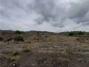 Portoviejo Montecristi, Terreno en Venta, 90 Hectáreas