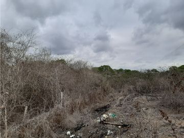 Portoviejo Montecristi, Terreno en Venta, 90 Hectáreas