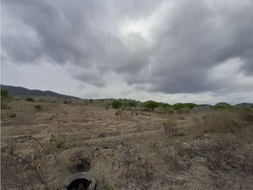 Portoviejo Montecristi, Terreno en Venta, 90 Hectáreas