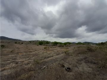 Portoviejo Montecristi, Terreno en Venta, 90 Hectáreas