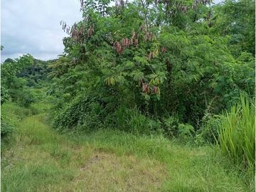 Esmeraldas Sector el Tigre, Terreno en Venta, 28,292m2