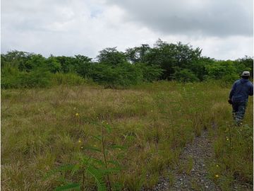 Esmeraldas Sector el Tigre, Terreno en Venta, 28,292m2