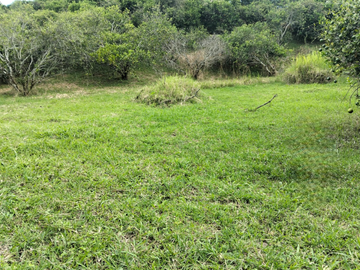 Venta Lotes En Parcelacion - Vereda El Hato - La Mesa