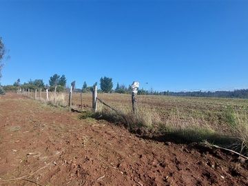 Agrícola en Venta en TERRENO DE 5,2 HECTÁREAS EN VENTA – SECTOR MILLAPOA, NACIMIENTO