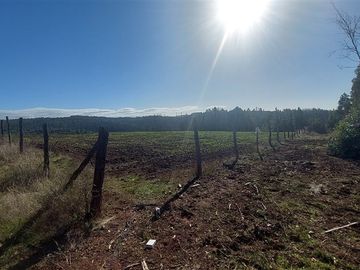 Agrícola en Venta en TERRENO DE 5,2 HECTÁREAS EN VENTA – SECTOR MILLAPOA, NACIMIENTO