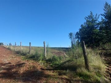 Agrícola en Venta en TERRENO DE 5,2 HECTÁREAS EN VENTA – SECTOR MILLAPOA, NACIMIENTO
