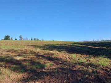 Agrícola en Venta en TERRENO DE 5,2 HECTÁREAS EN VENTA – SECTOR MILLAPOA, NACIMIENTO