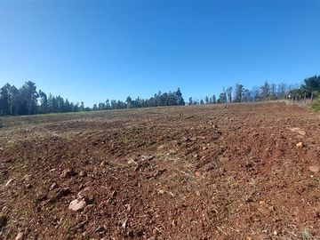 Agrícola en Venta en TERRENO DE 5,2 HECTÁREAS EN VENTA – SECTOR MILLAPOA, NACIMIENTO