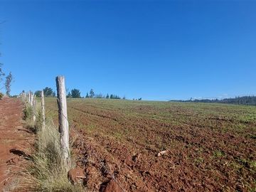 Terreno Construccion  en Venta en TERRENO DE 5,2 HECTÁREAS EN VENTA – SECTOR MILLAPOA, NACIMIENTO