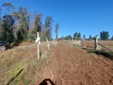 Terreno Construccion  en Venta en TERRENO DE 5,2 HECTÁREAS EN VENTA – SECTOR MILLAPOA, NACIMIENTO