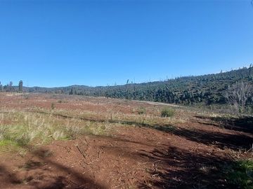 Terreno Construccion  en Venta en TERRENO DE 5,2 HECTÁREAS EN VENTA – SECTOR MILLAPOA, NACIMIENTO