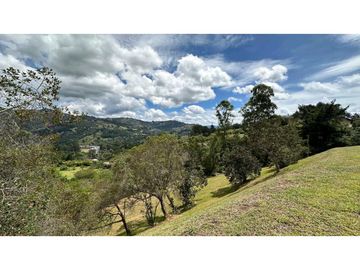 Venta lote Alto de Palmas