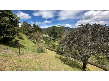 Venta lote Alto de Palmas