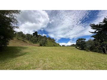 Venta lote Alto de Palmas