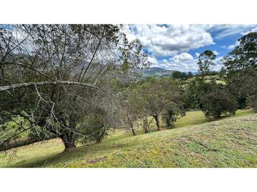 Venta lote Alto de Palmas