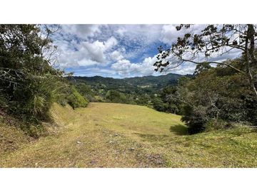 Venta lote Alto de Palmas