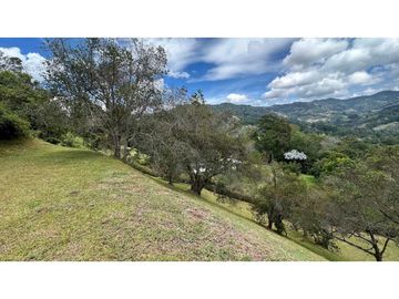 Venta lote Alto de Palmas