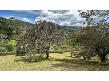 Venta lote Alto de Palmas