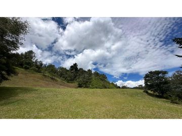 Venta lote Alto de Palmas