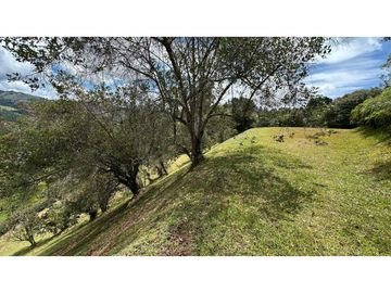 Venta lote Alto de Palmas